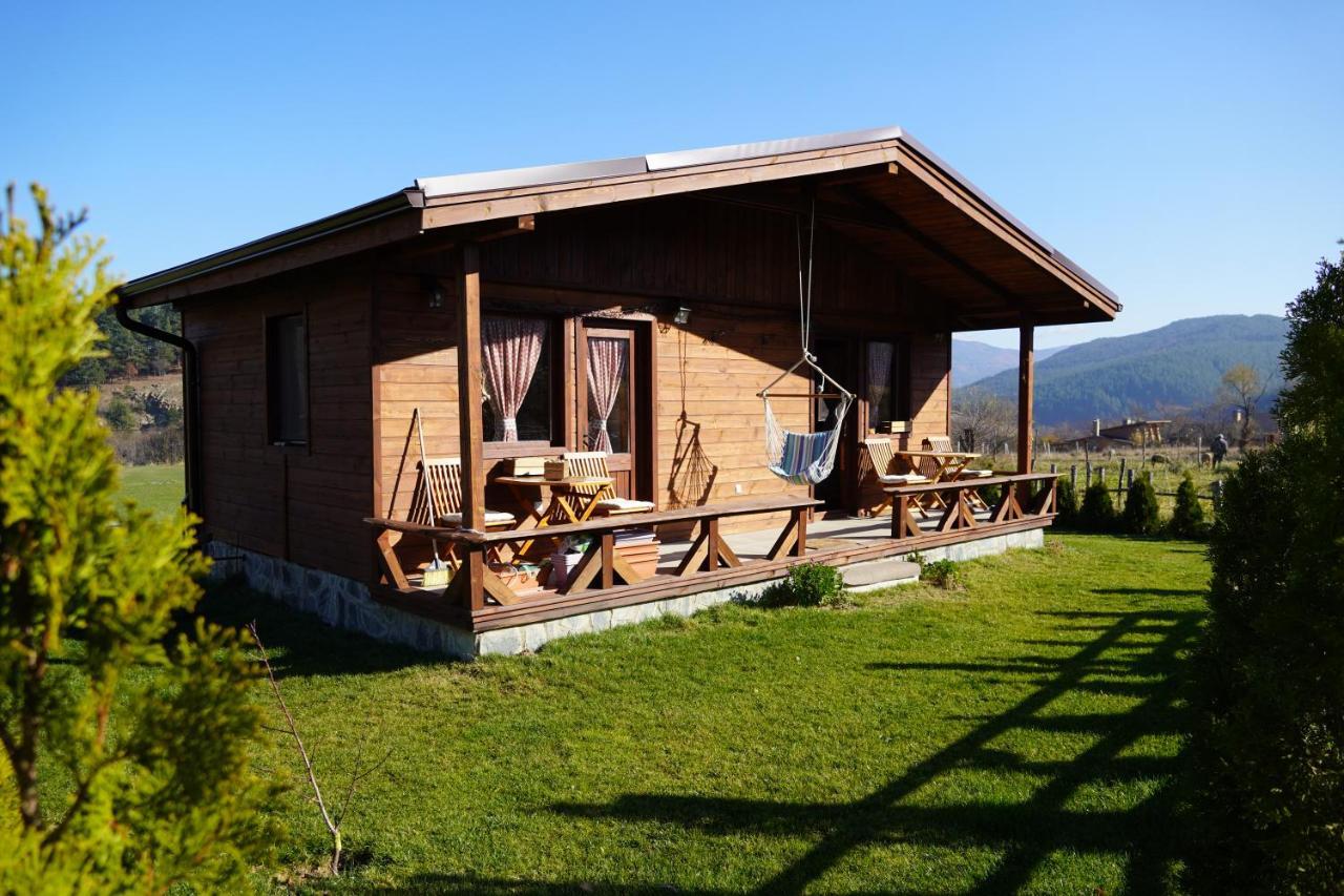 Hotel Orbel Dobrinishte Esterno foto