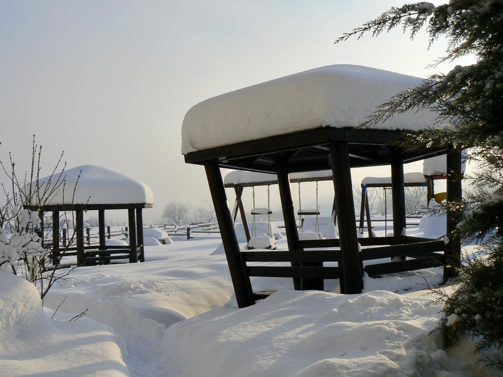 Hotel Orbel Dobrinishte Esterno foto