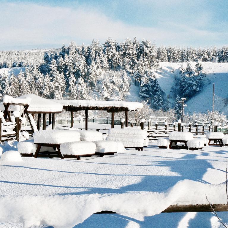 Hotel Orbel Dobrinishte Esterno foto